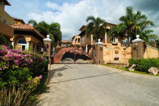 Luxury Penthouse With Pool * Kingston